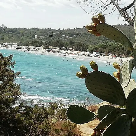 Casa Da Rosy